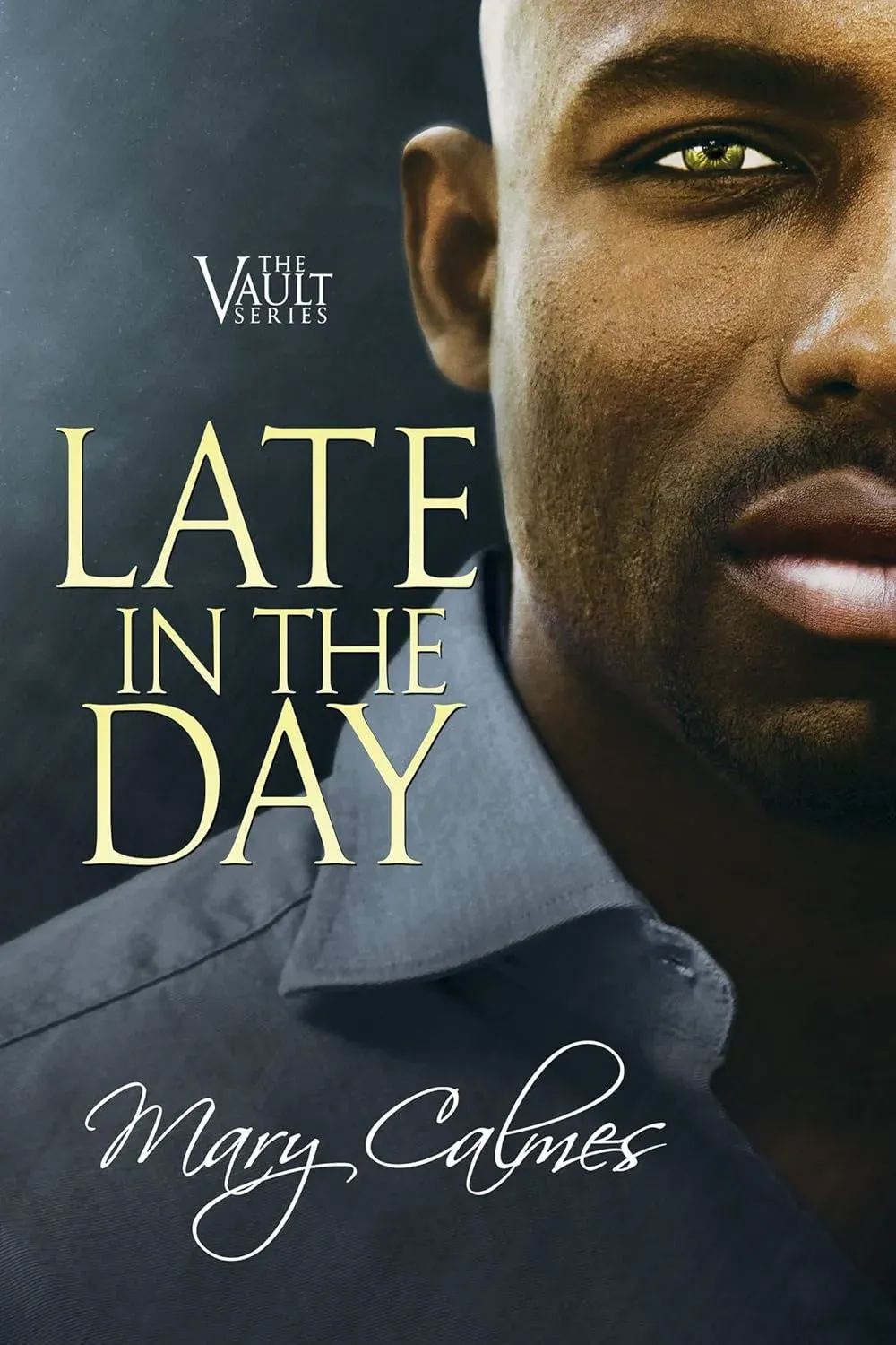 Late in the Day, Action cover